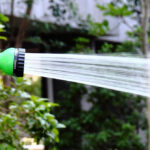 1547096919_w640_h640_1547096919