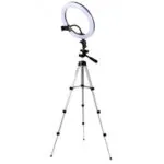2298792951_w494_h473_koltsevaya-lampa-26-1