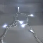 00005620-1