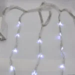 00005698-1