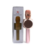 Микрофон Dm Karaoke Ys 68 + Bt