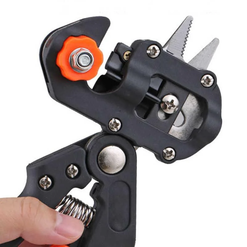 3286184446_w640_h640_3286184446